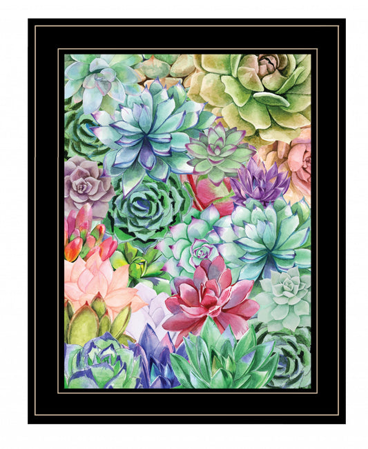 Succulents Paradise 3 Black Framed Print Wall Art Homeroots Home Decor