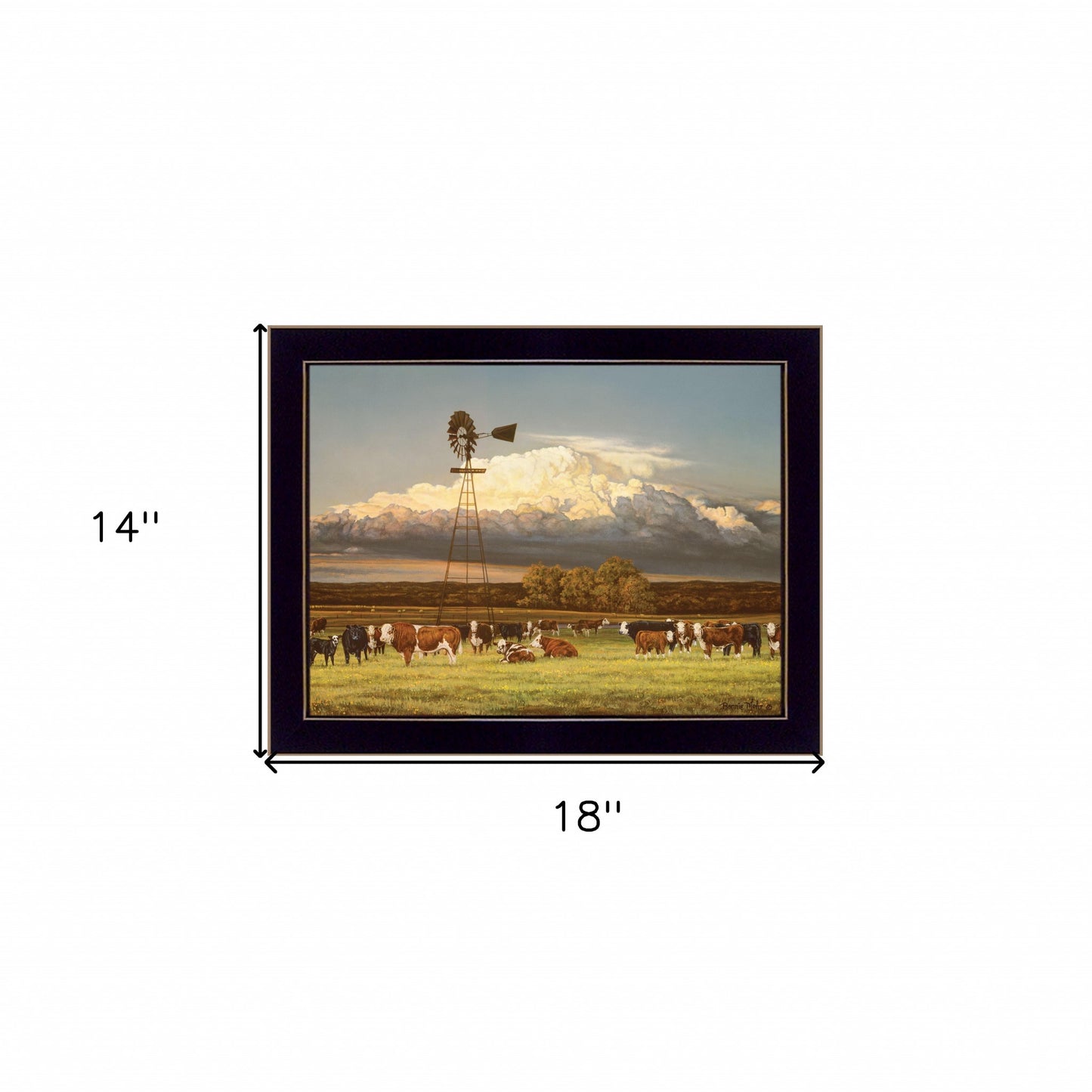 Summer Pastures Black Framed Print Wall Art Homeroots Home Decor