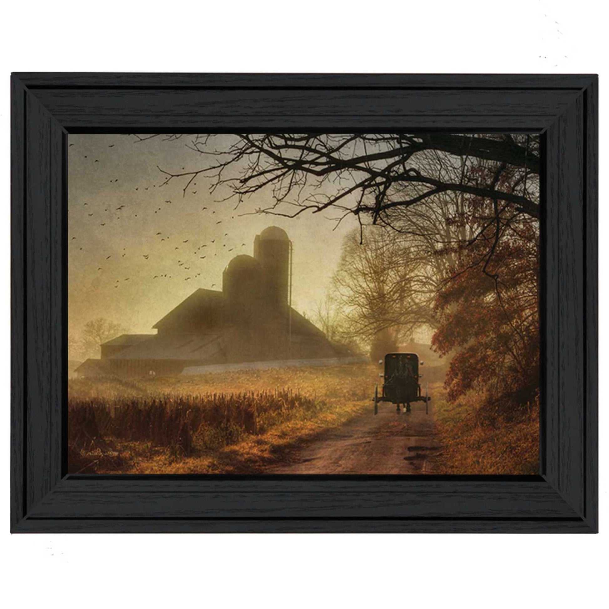 Sunday Morning 2 Black Framed Print Wall Art Homeroots Home Decor