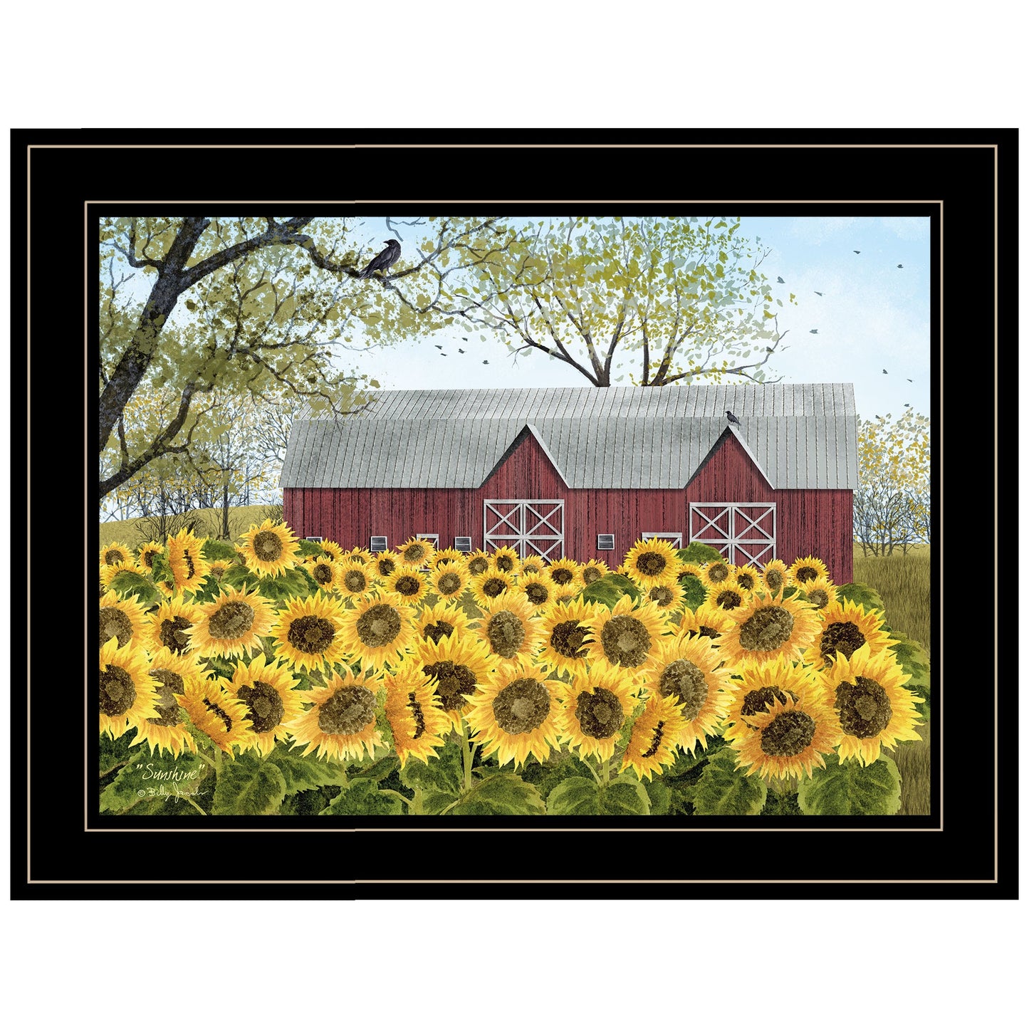 Sunflower Barn Black Framed Print Wall Art Homeroots Home Decor