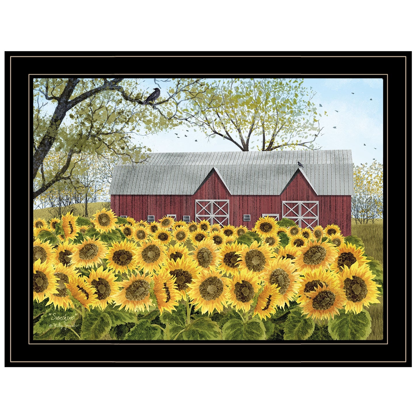 Sunflower Farm Black Framed Print Wall Art Homeroots Home Decor