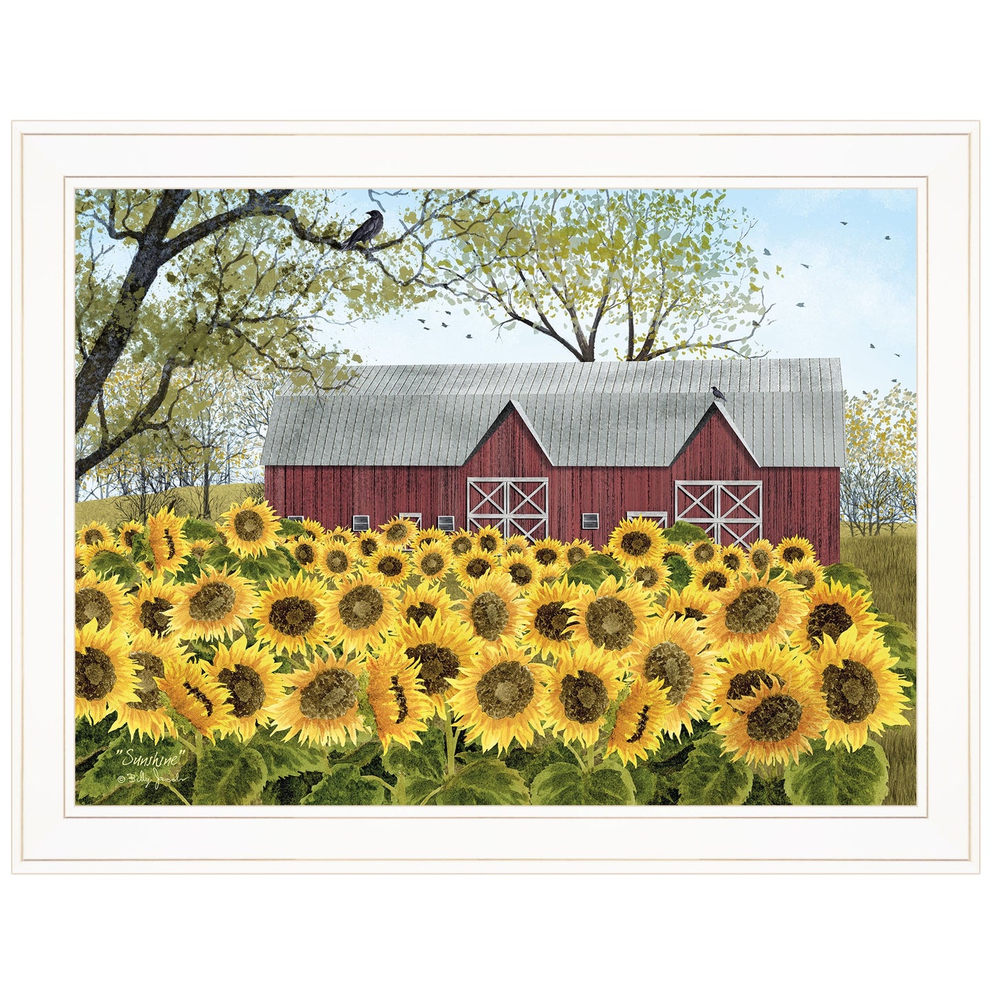 Sunflower Farm White Framed Print Wall Art Homeroots Home Decor