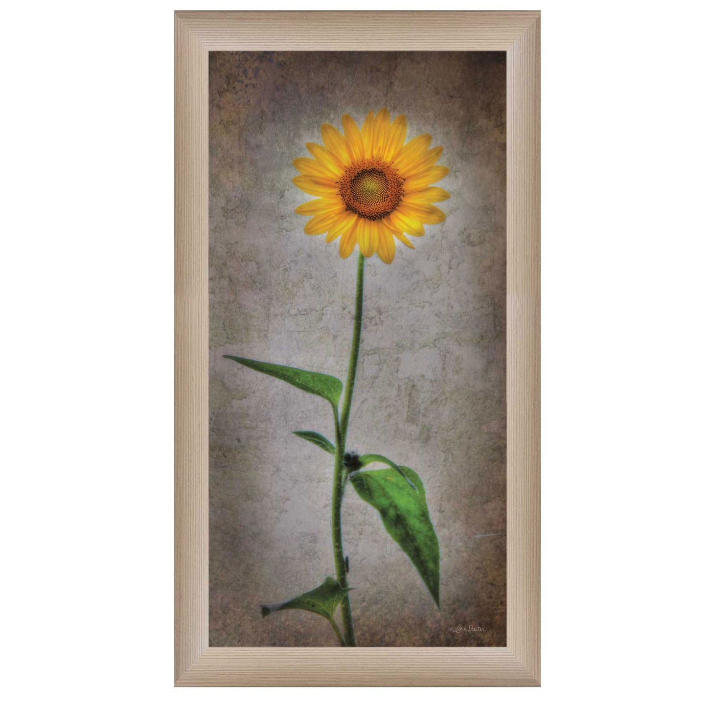 Sunflower I Brown Framed Print Wall Art Homeroots Home Decor