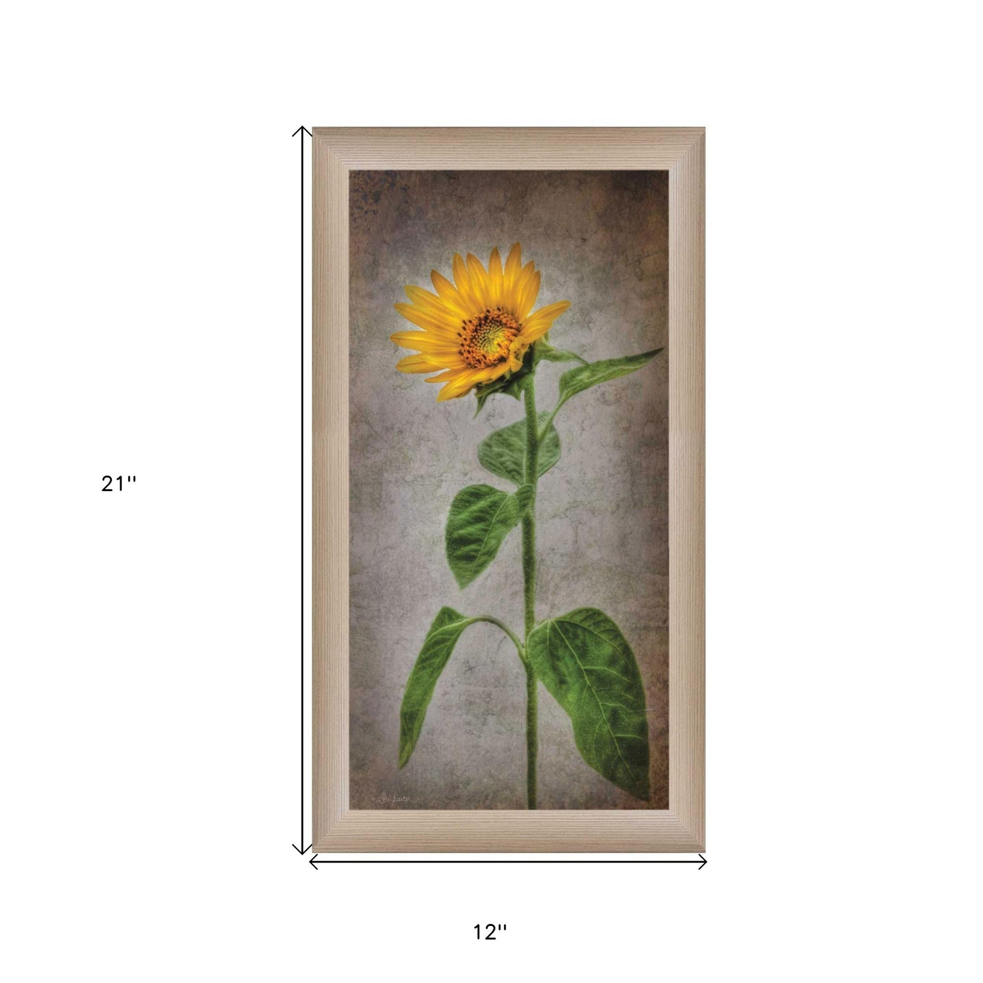 Sunflower II Brown Framed Print Wall Art Homeroots Home Decor