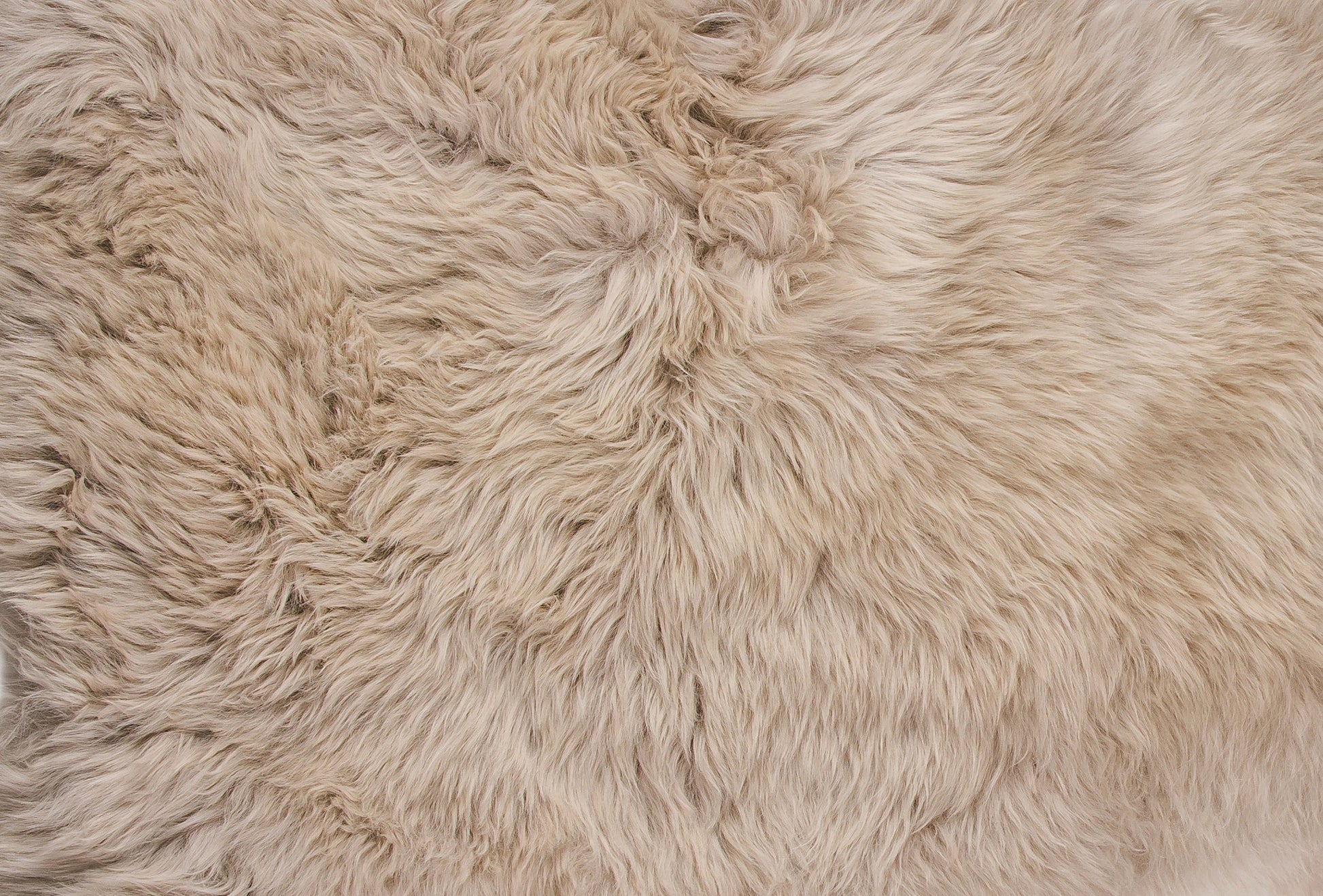 Taupe Animal Print Area Rug Homeroots Home Decor