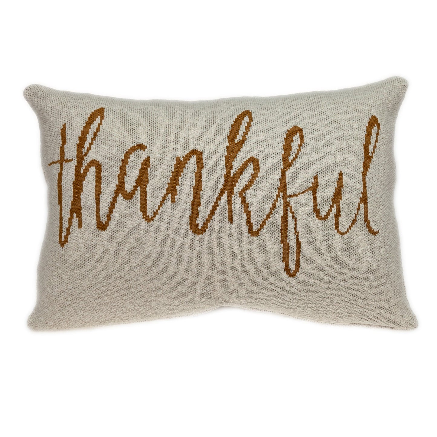 Thankful Decorative Pillow Homeroots Home Decor