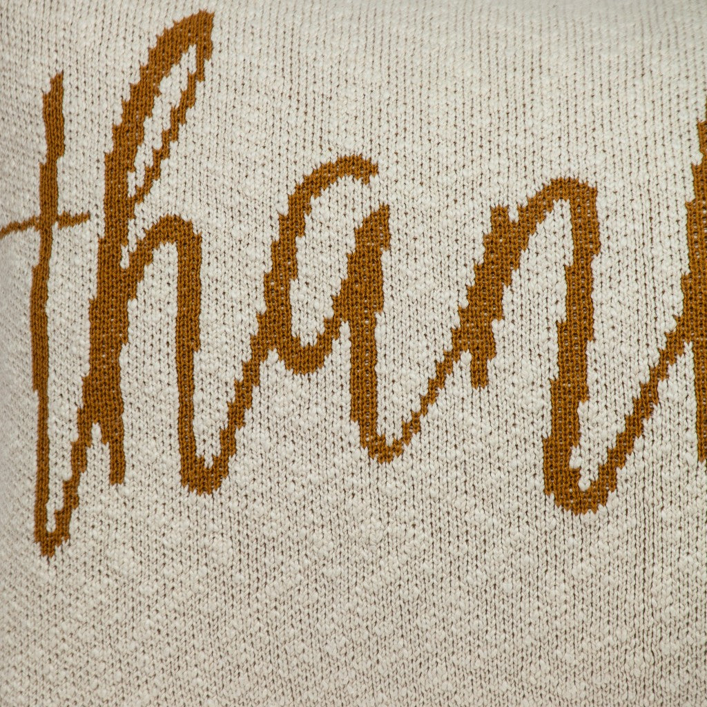 Thankful Decorative Pillow Homeroots Home Decor